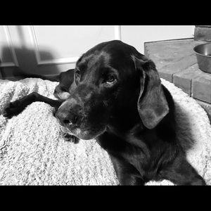 Meet your Posher, Julia